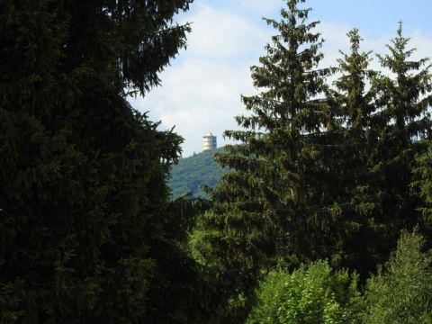 Foto 118